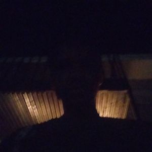 Meet your Posher, Sam